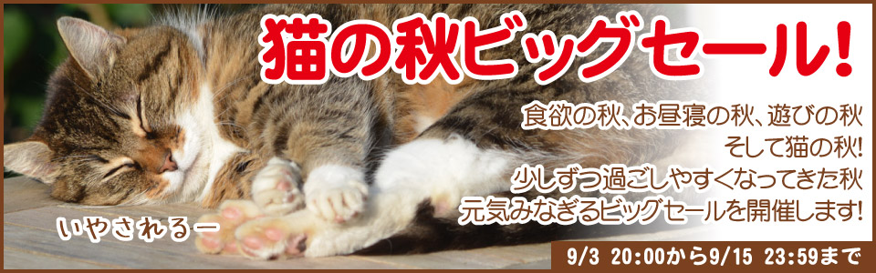 天然木の手作り猫用品 ペットかぐ家具
