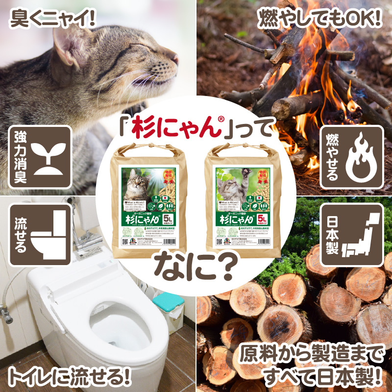 杉にゃん