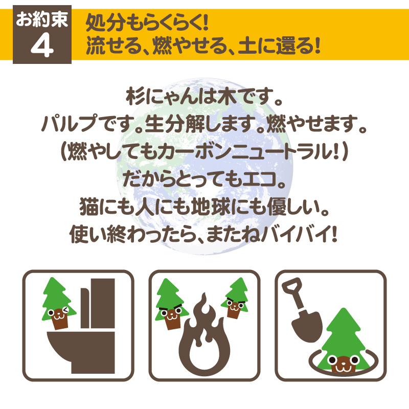 杉にゃん