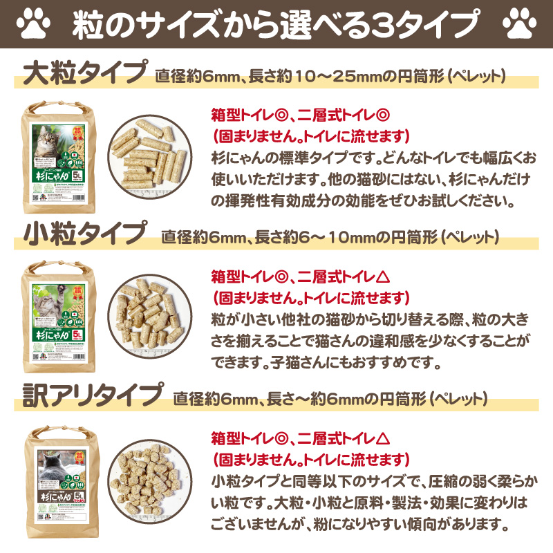 杉にゃん