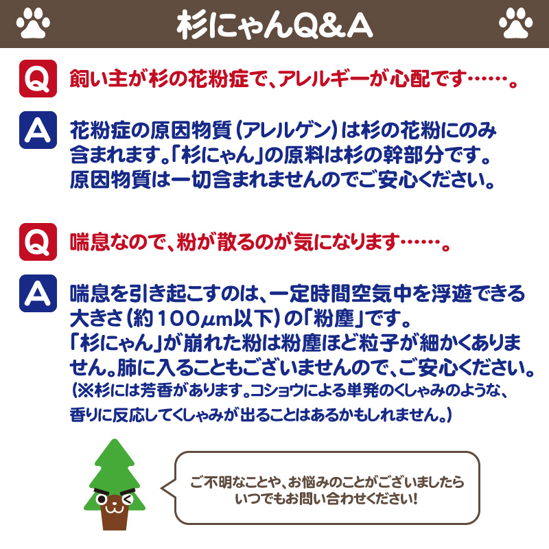 杉にゃん