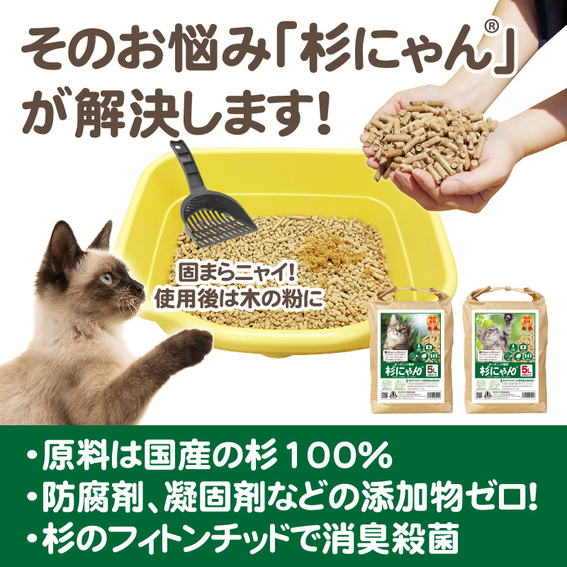 杉にゃん