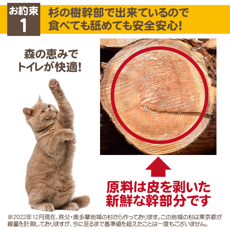 杉にゃん