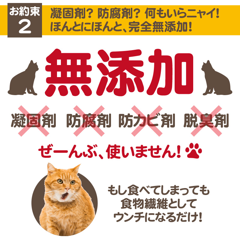 杉にゃん