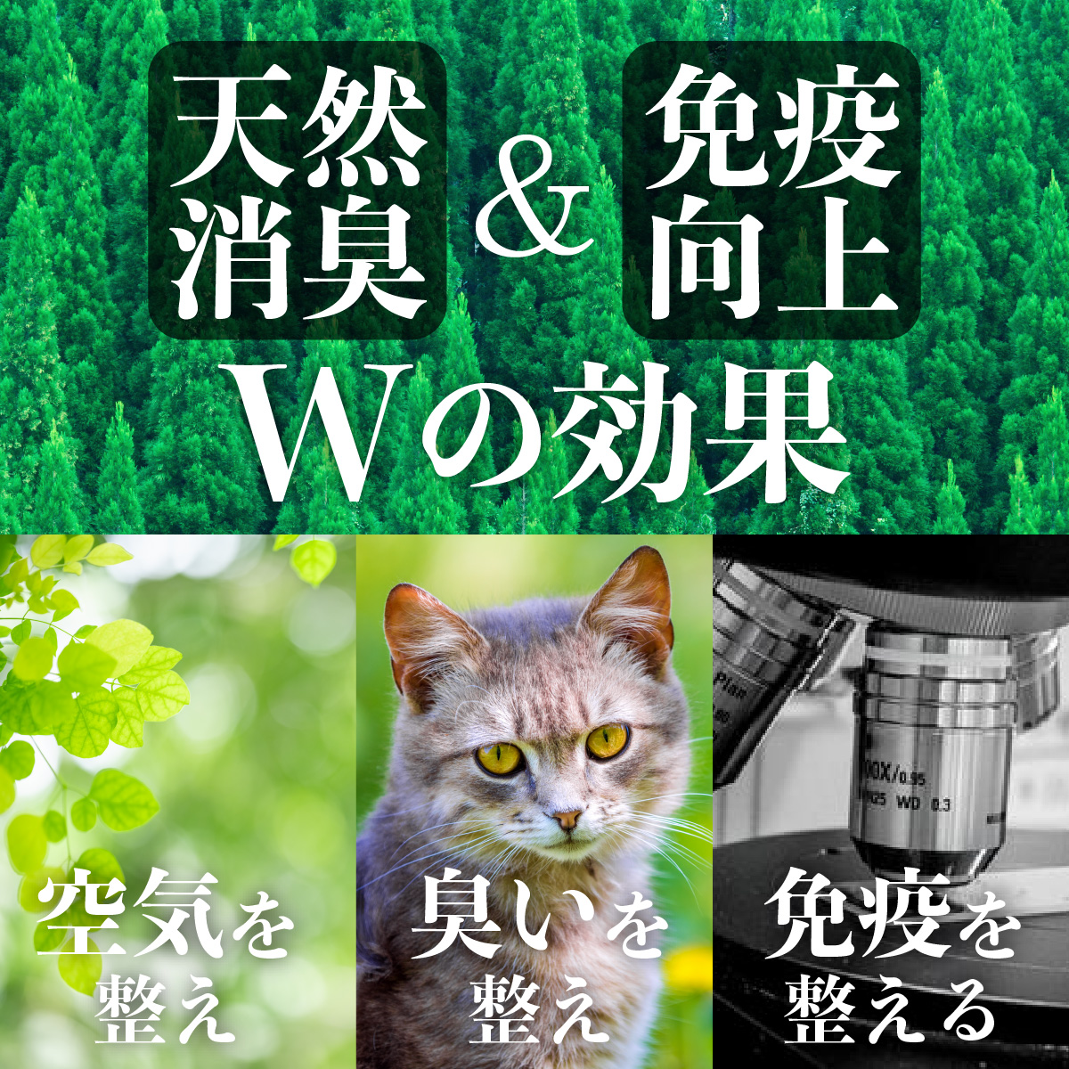 天然消臭,免疫向上