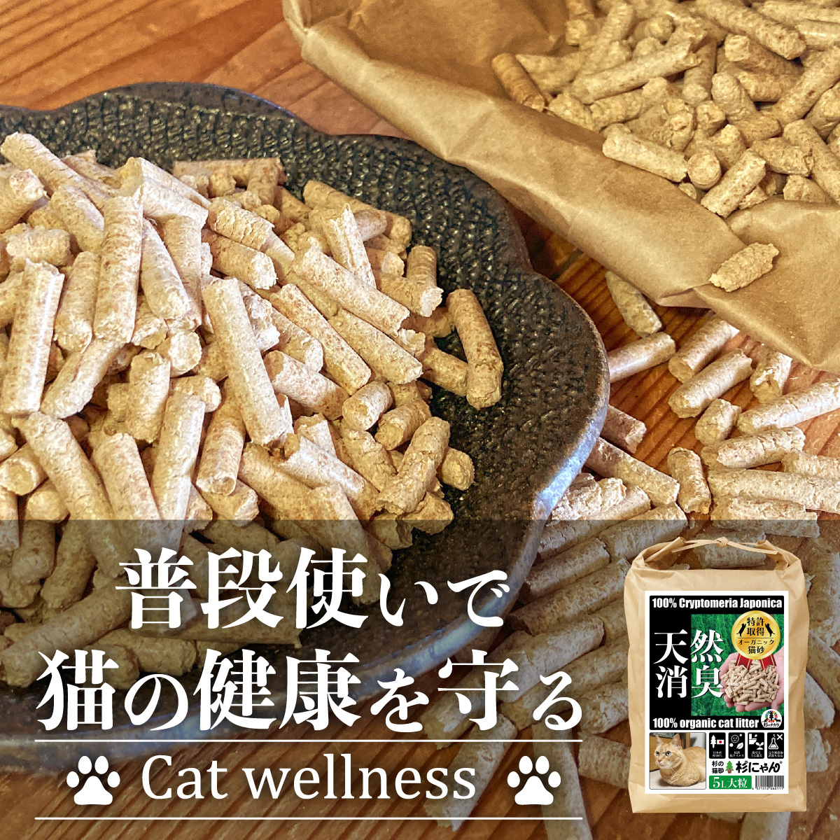 キャット,ウェルネス