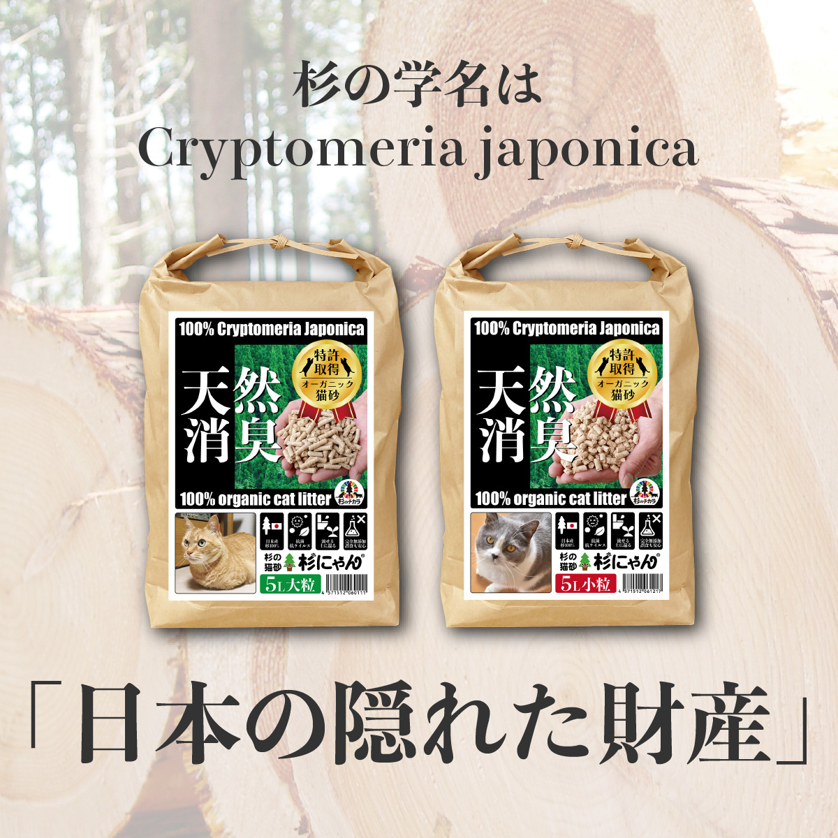 日本の隠された財産