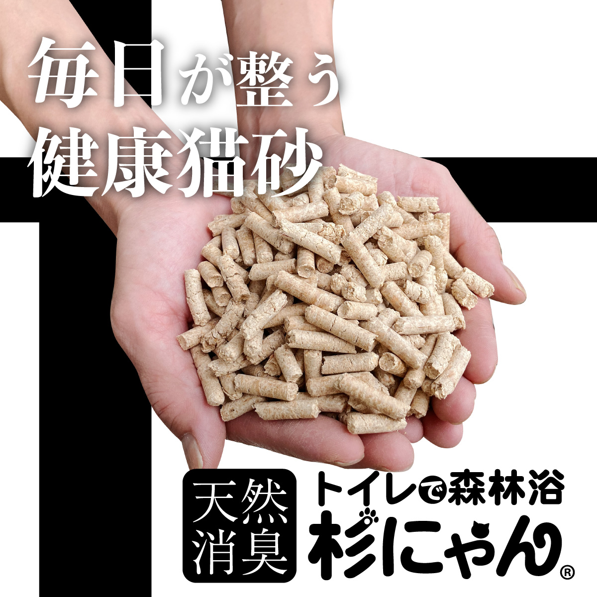 毎日使う健康猫砂