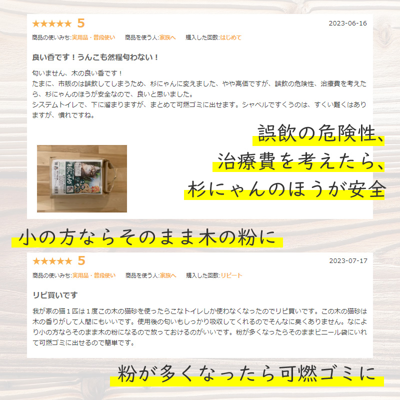 杉にゃん