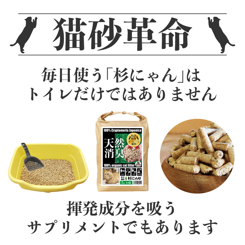 杉にゃん