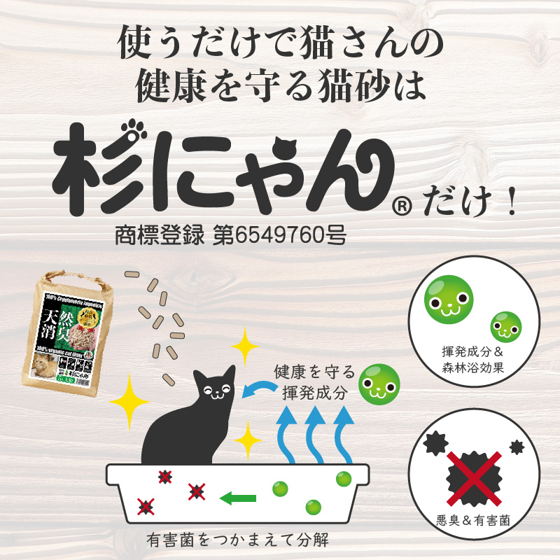 杉にゃん