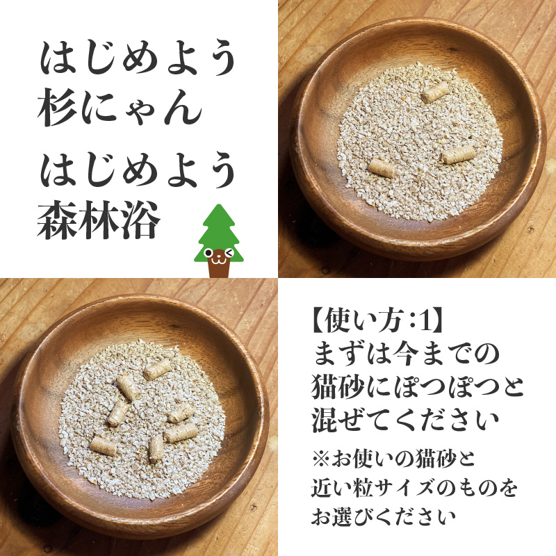 杉にゃん