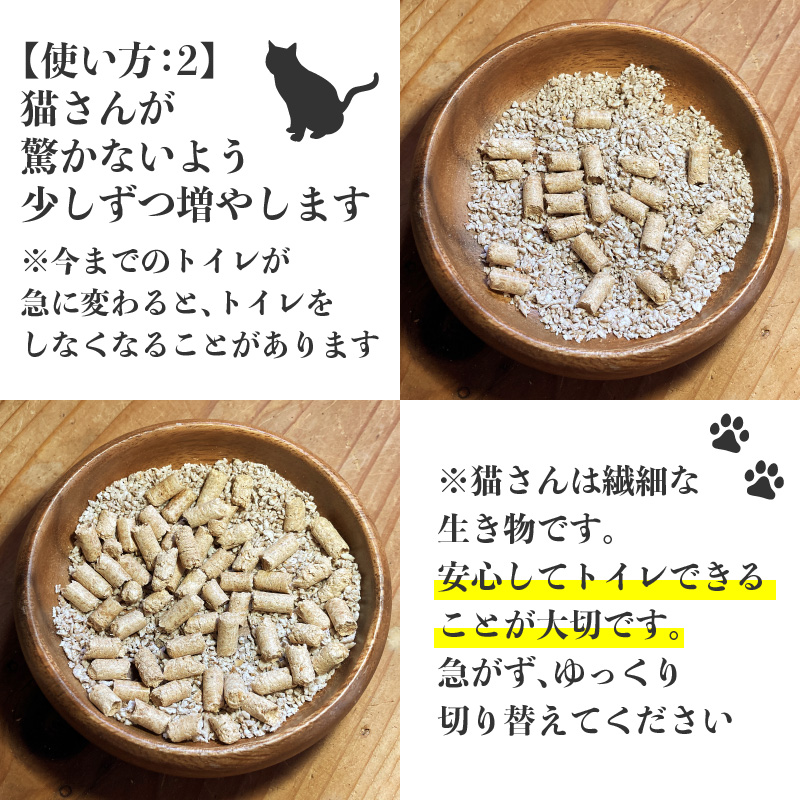 杉にゃん