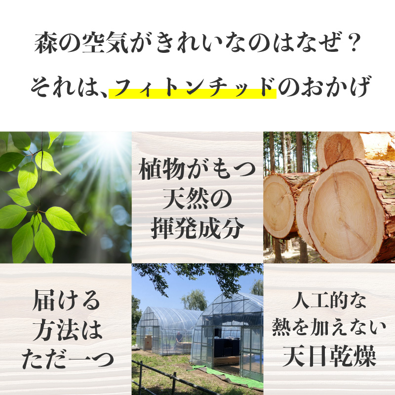 杉にゃん
