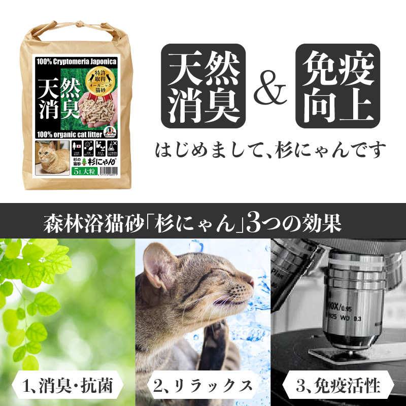 杉にゃん