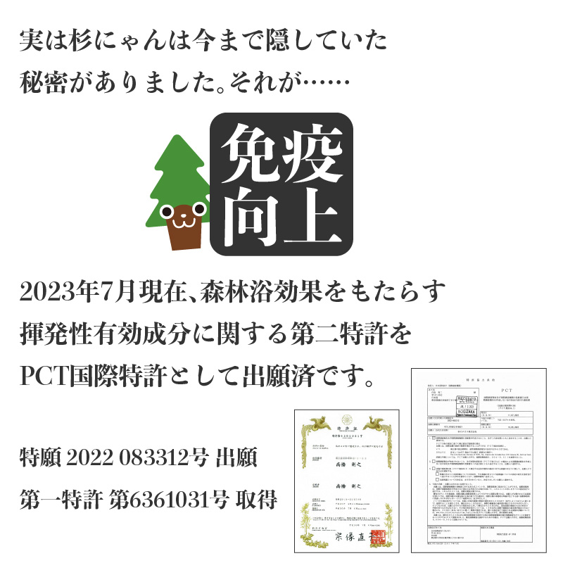 杉にゃん