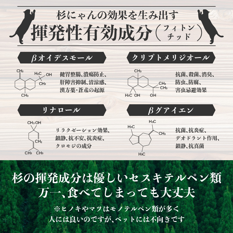 杉にゃん