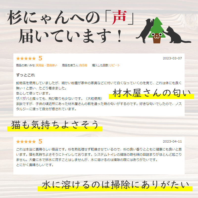 杉にゃん