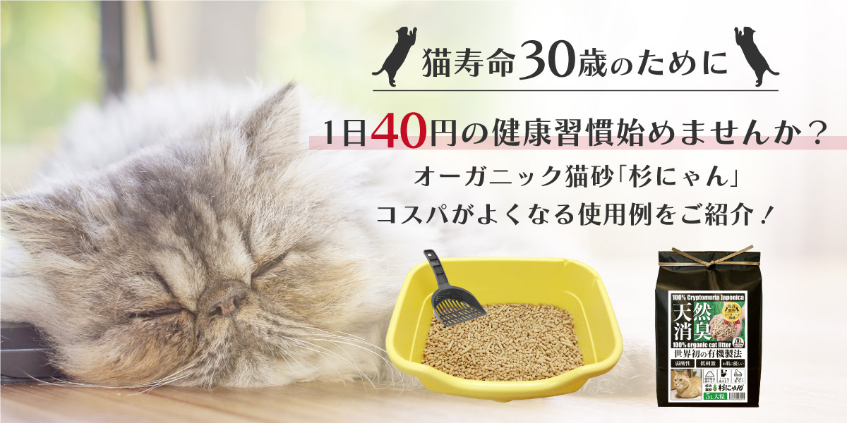 猫寿命30年