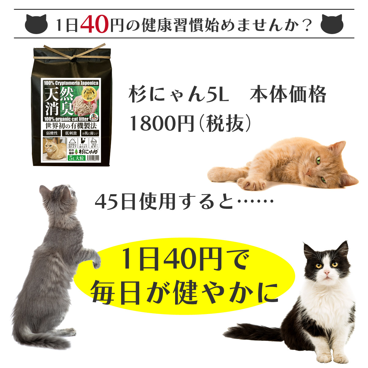 オーガニック猫砂