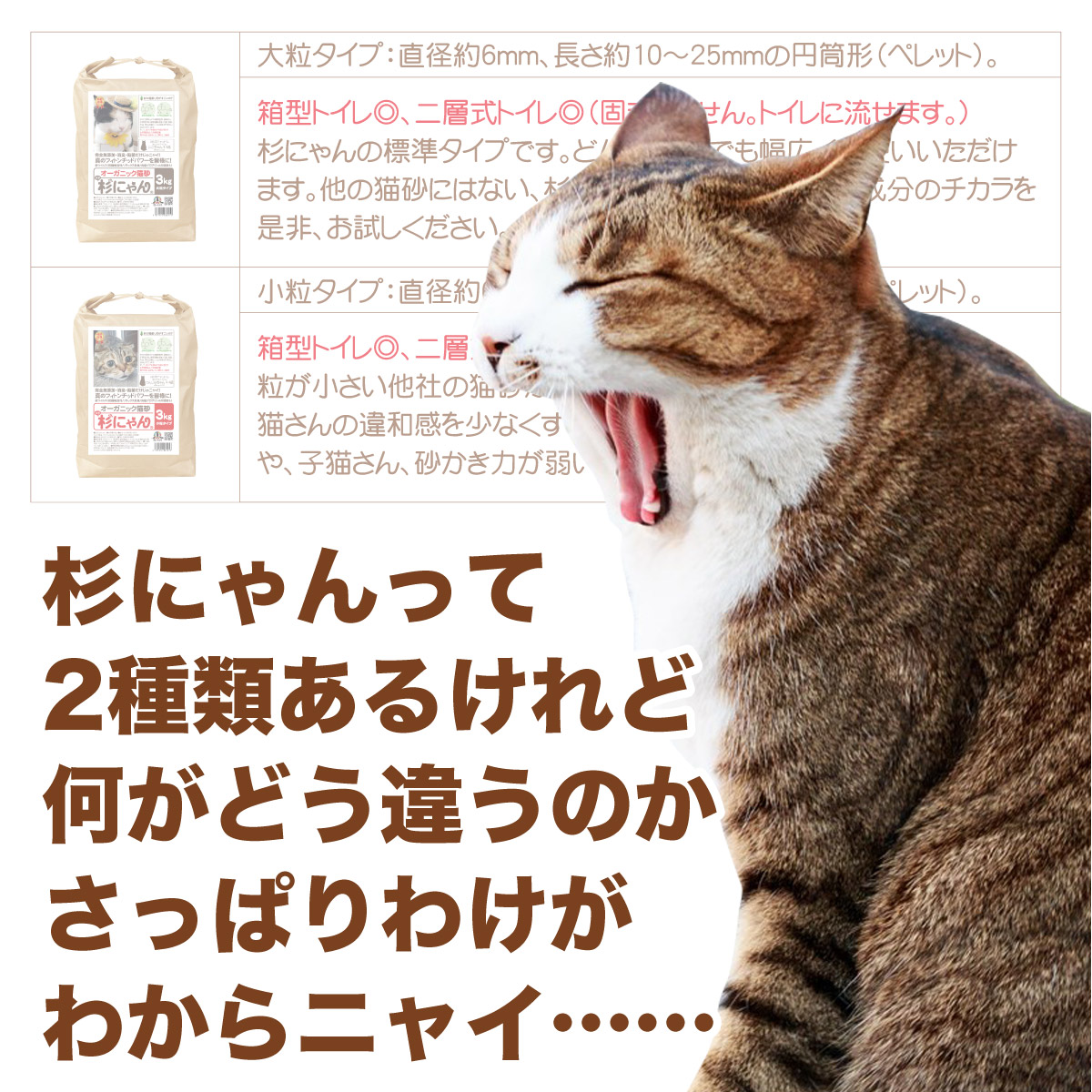 違いのわからないあなたに
