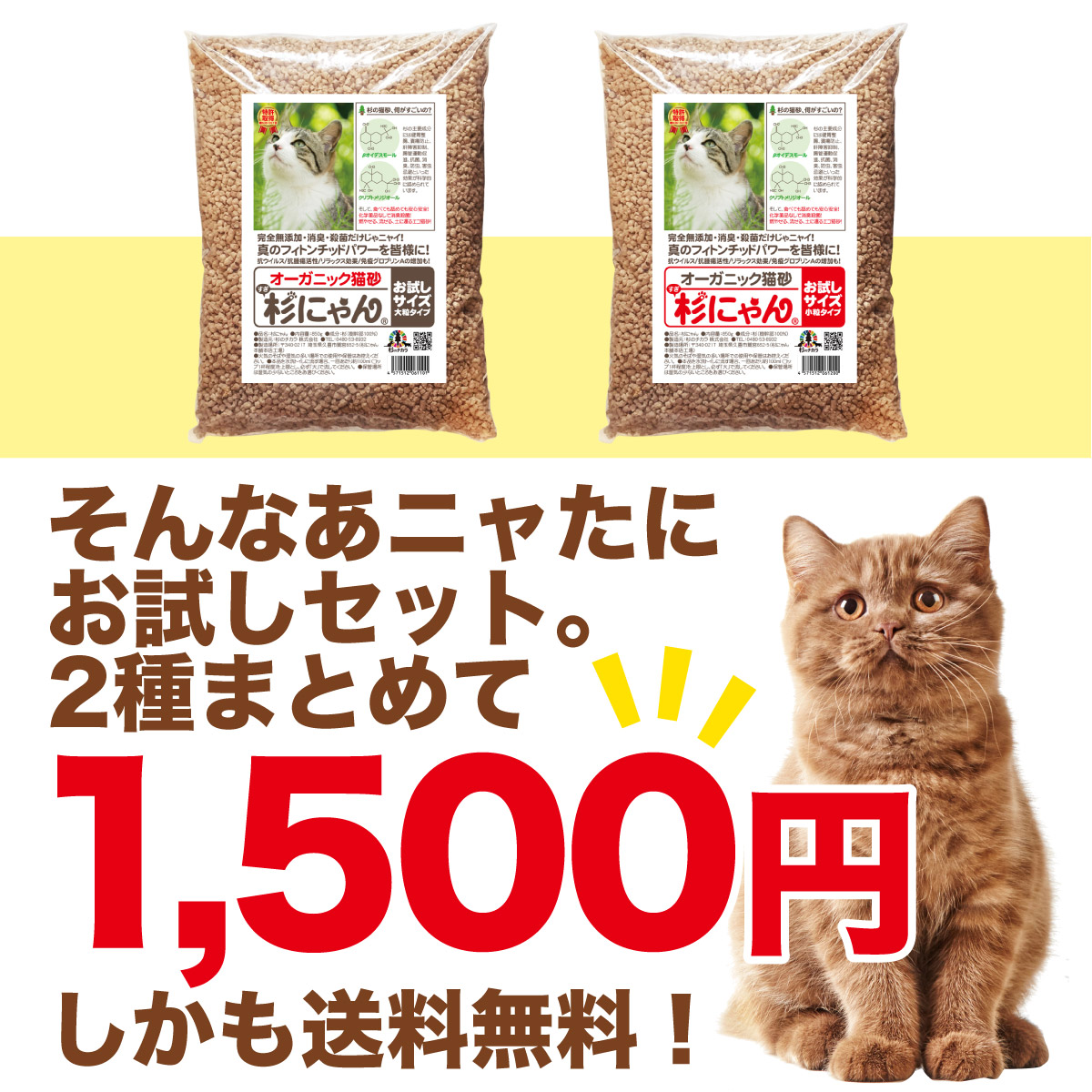 試してごらんよお試しセット