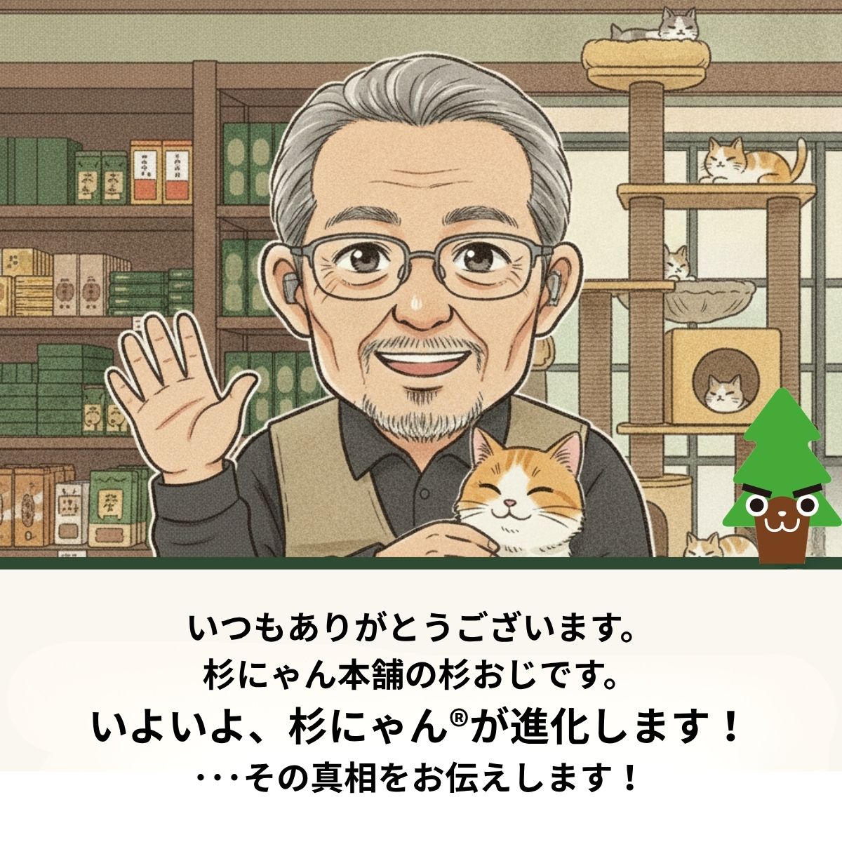 杉にゃんからのお知らせ