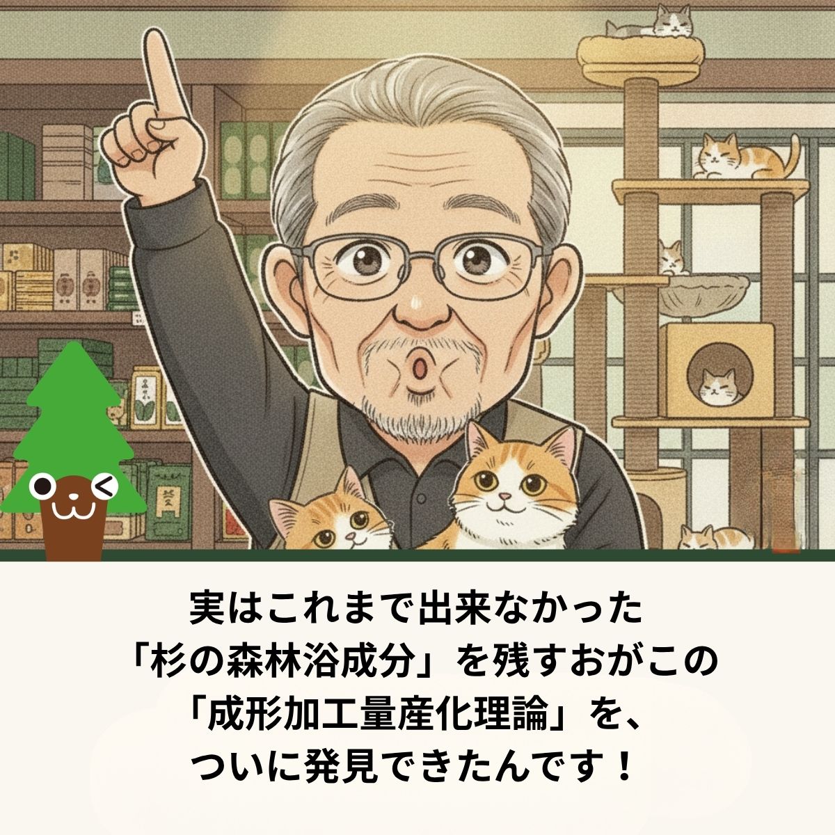 杉にゃんからのお知らせ