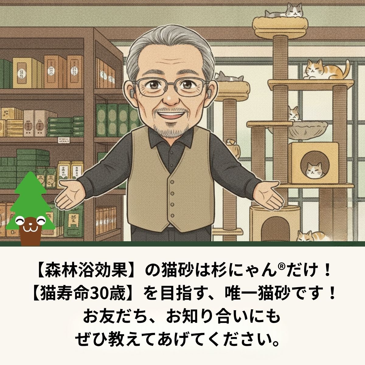 杉にゃんからのお知らせ