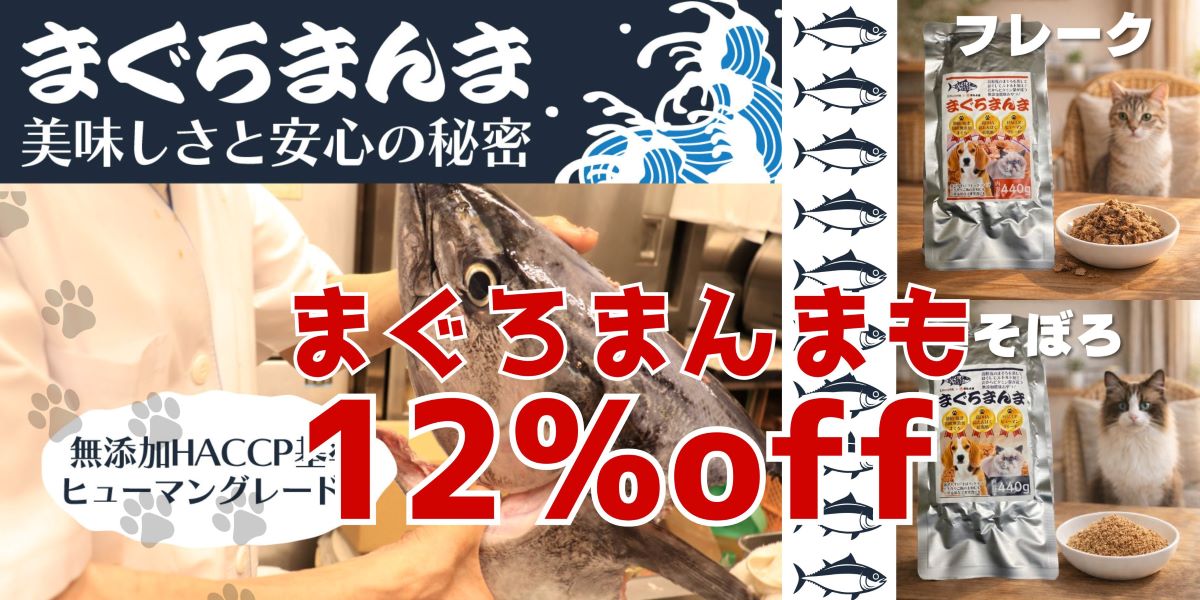 大事なお知らせ記念セール