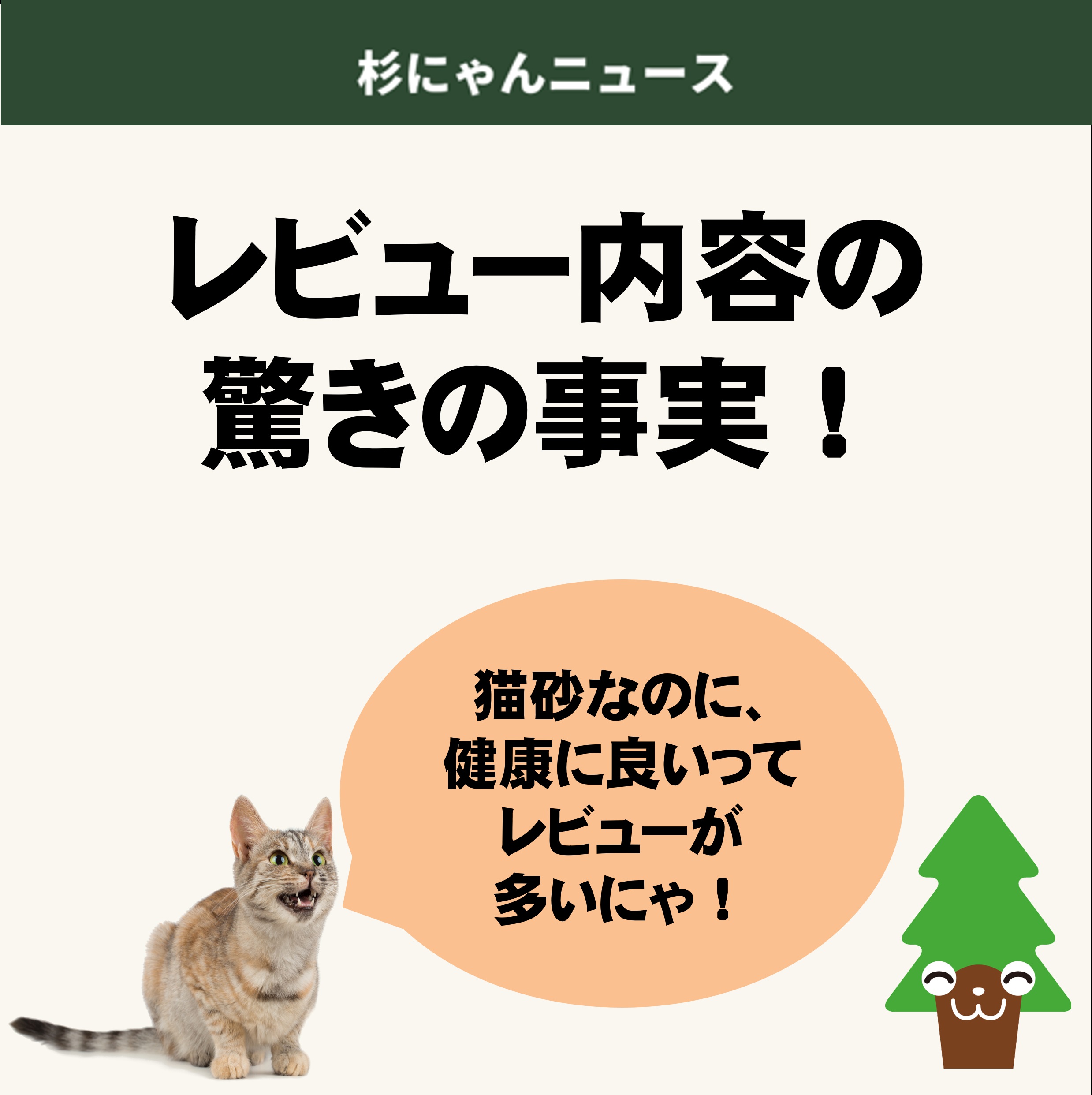 楽天レビュー統計
