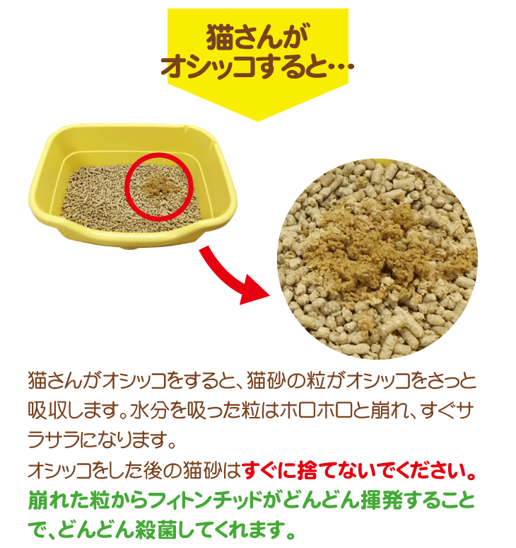 命の猫砂