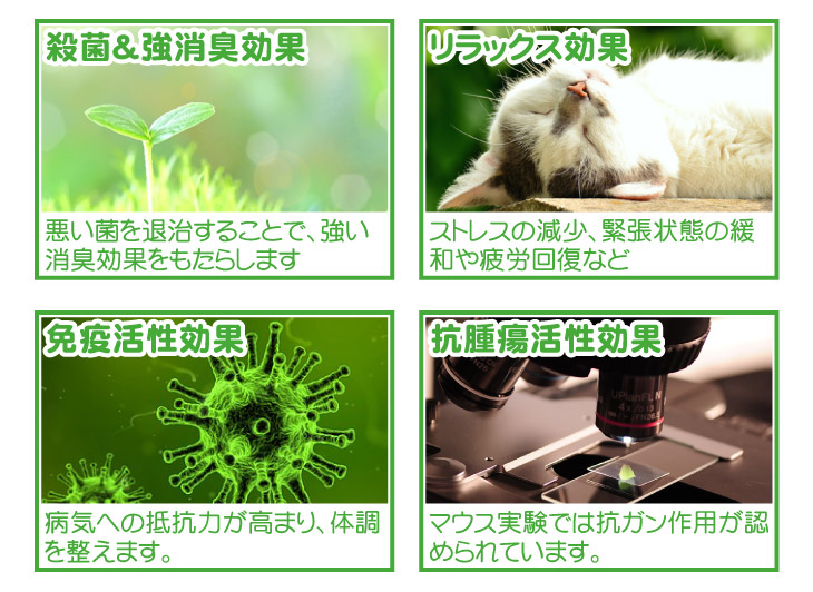 殺菌 消臭効果 リラックス効果 ストレス減少 疲労回復 免疫活性効果 猫ヘルペス菌に強い 抗腫瘍活性効果