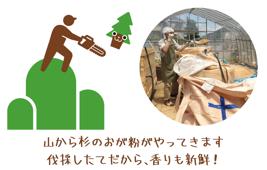 山から杉のおが粉がやってきます 伐採したてだから香りも新鮮