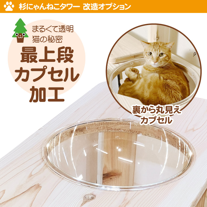 杉にゃん キャットタワー 専用 追加オプション 最上段カプセル加工 