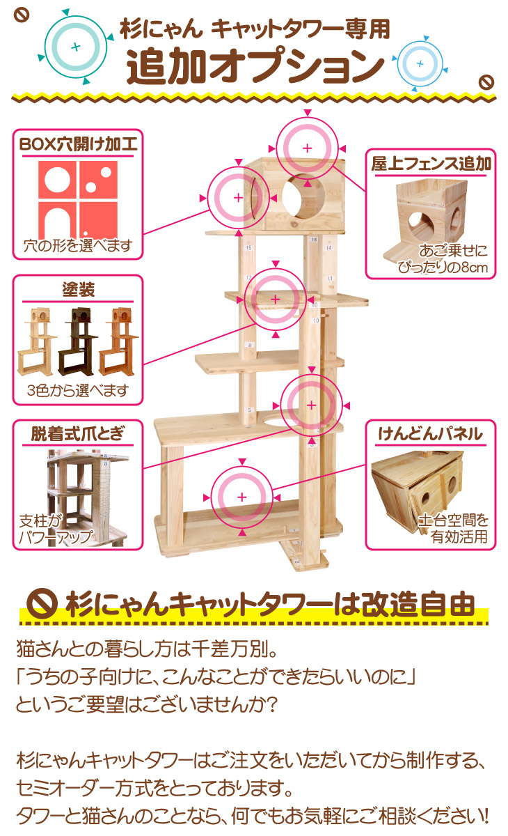 改造オプション