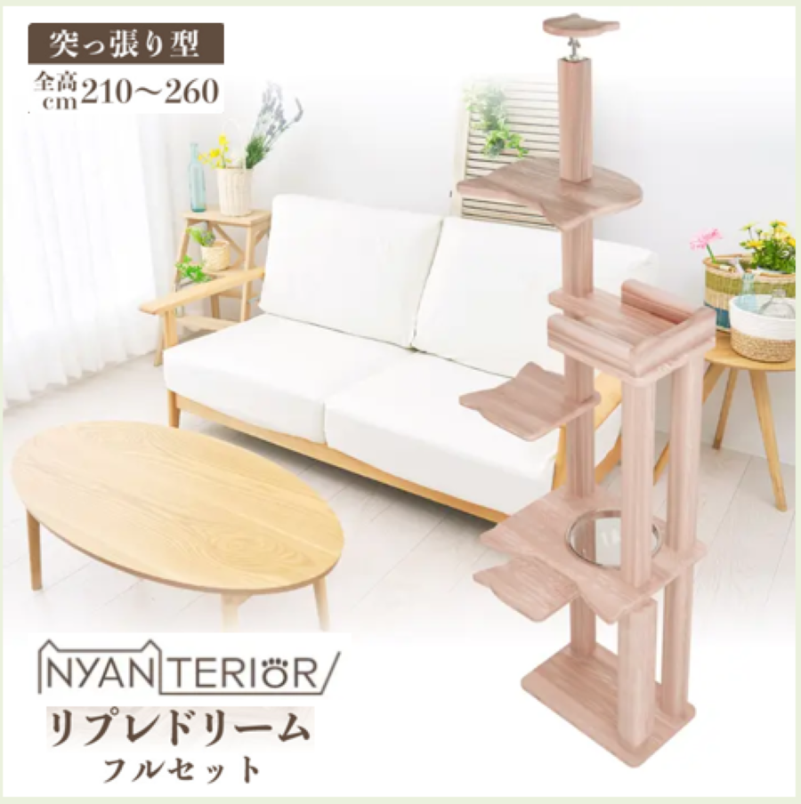 リプレ ドリーム フルセットモデル