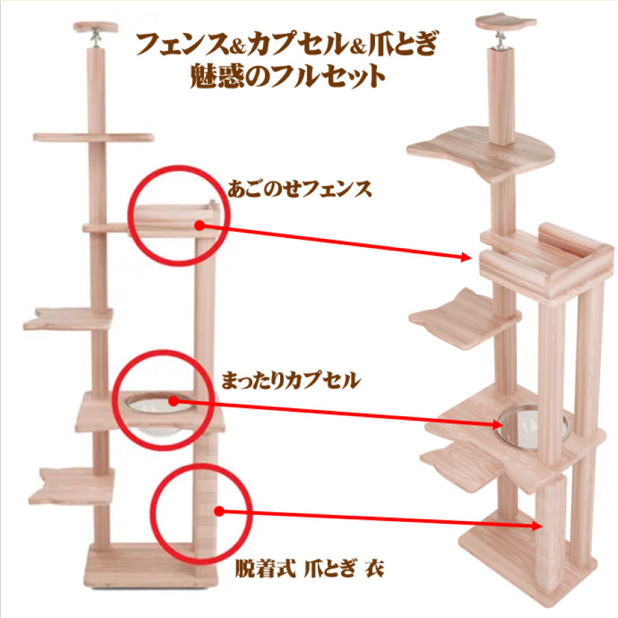 リプレ ドリーム フルセットモデル