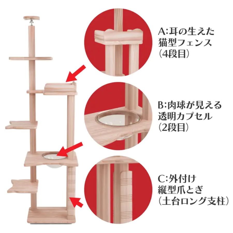 リプレ ドリーム フルセットモデル