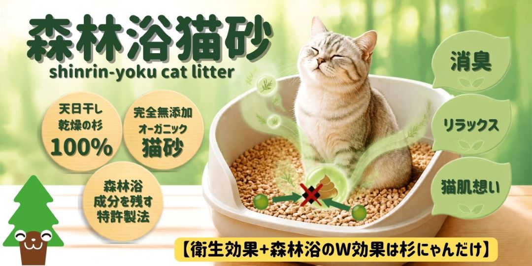 杉にゃん変わりますＴＯＰ